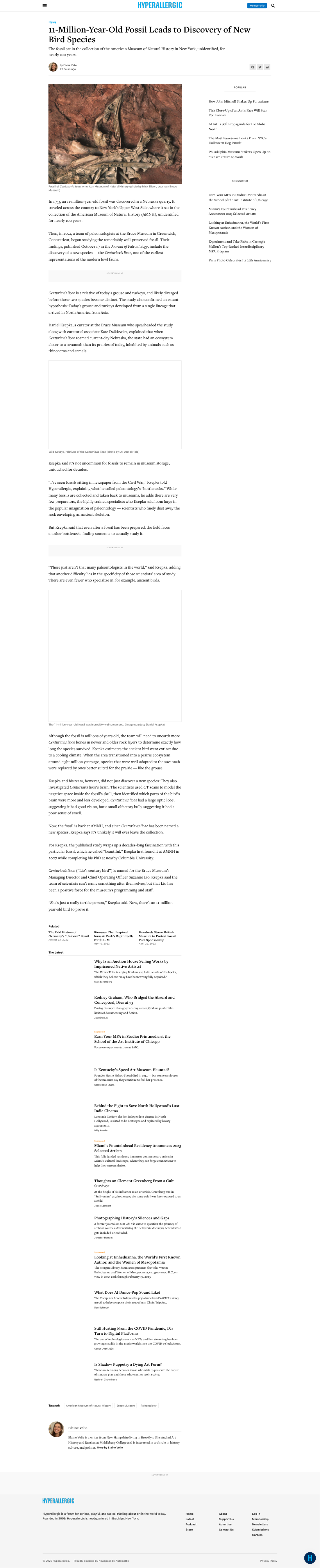 新闻 1100 万年前的化石引领新鸟类物种的发现